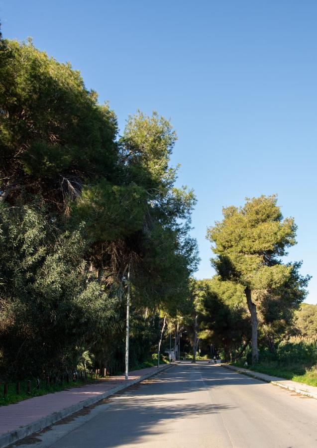 Open View Pinetree Penthouse Apartamento Campoamor Exterior foto
